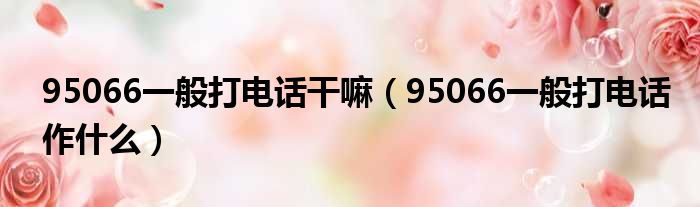 95066一般打电话干嘛（95066一般打电话作什么）