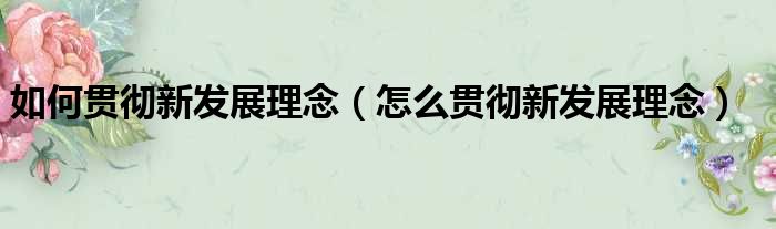 如何贯彻新发展理念（怎么贯彻新发展理念）