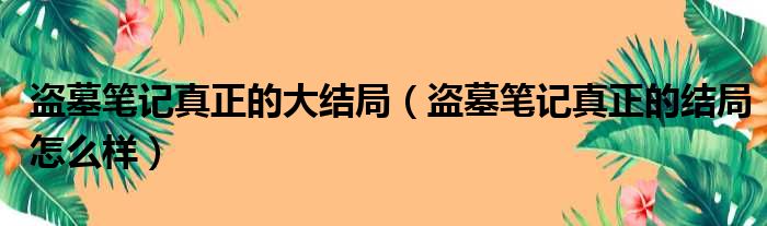 盗墓笔记真正的大结局（盗墓笔记真正的结局怎么样）