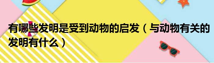 有哪些发明是受到动物的启发（与动物有关的发明有什么）