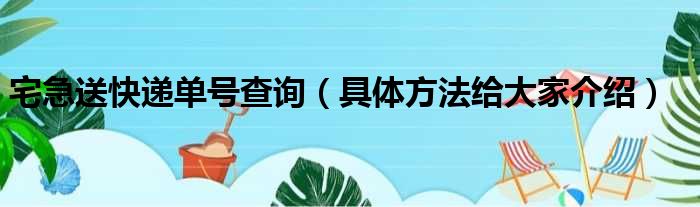 宅急送快递单号查询（具体方法给大家介绍）