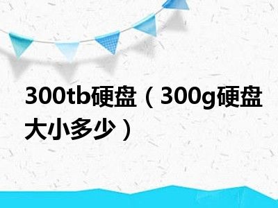 300tb硬盘（300g硬盘大小多少）