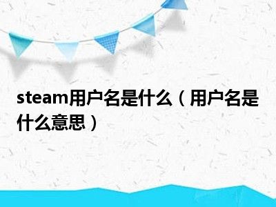 steam用户名是什么（用户名是什么意思）