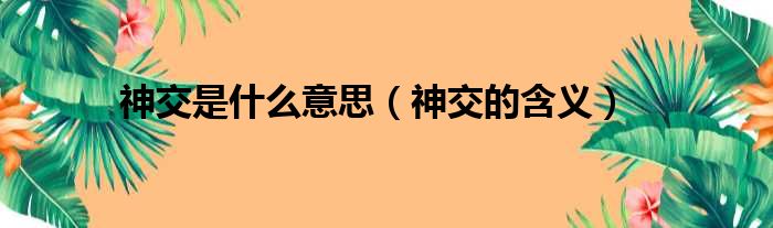 神交是什么意思（神交的含义）