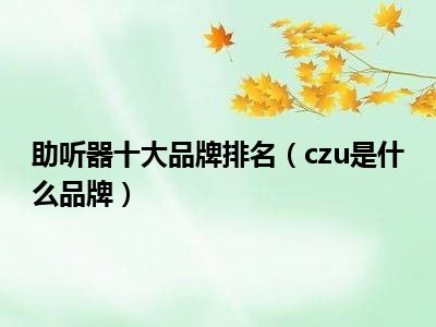 助听器十大品牌排名（czu是什么品牌）