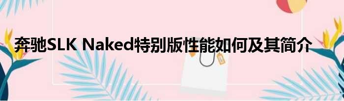 奔驰SLK Naked特别版性能如何及其简介