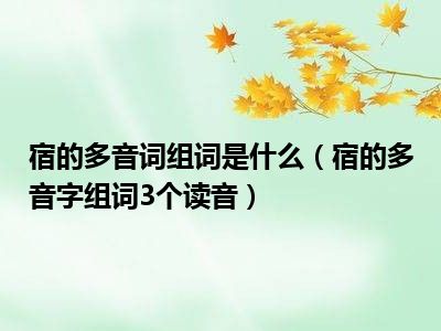 宿的多音词组词是什么（宿的多音字组词3个读音）