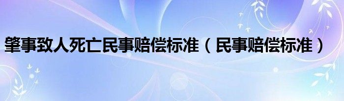  肇事致人死亡民事赔偿标准（民事赔偿标准）