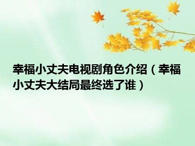 幸福小丈夫电视剧角色介绍（幸福小丈夫大结局最终选了谁）