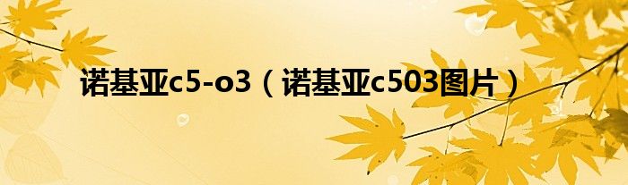  诺基亚c5-o3（诺基亚c503图片）