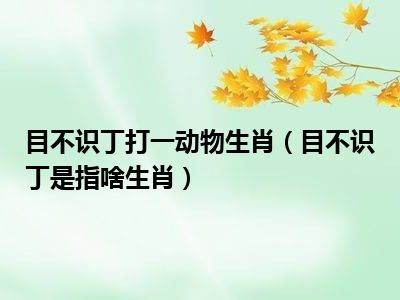 目不识丁打一动物生肖（目不识丁是指啥生肖）