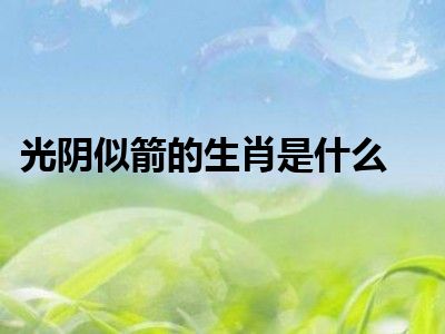 光阴似箭的生肖是什么