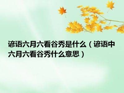 谚语六月六看谷秀是什么（谚语中六月六看谷秀什么意思）