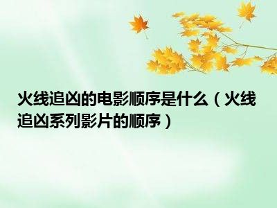 火线追凶的电影顺序是什么（火线追凶系列影片的顺序）