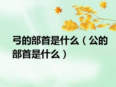 弓的部首是什么（公的部首是什么）