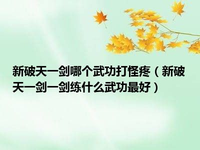 新破天一剑哪个武功打怪疼（新破天一剑一剑练什么武功最好）