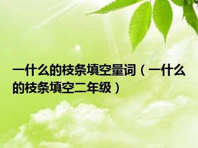 一什么的枝条填空量词（一什么的枝条填空二年级）