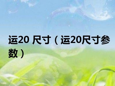 运20 尺寸（运20尺寸参数）