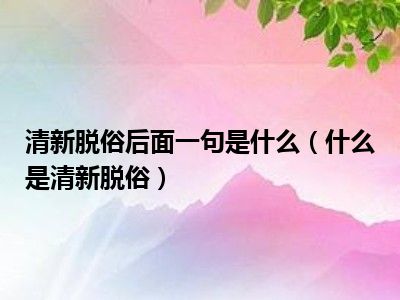 清新脱俗后面一句是什么（什么是清新脱俗）