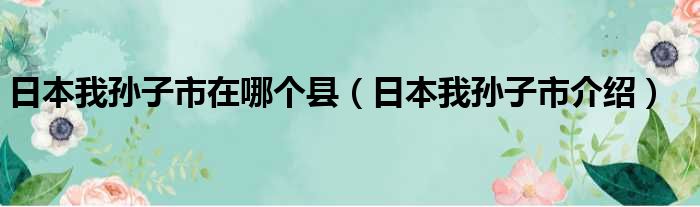 日本我孙子市在哪个县（日本我孙子市介绍）