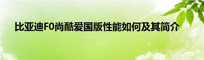 比亚迪F0尚酷爱国版性能如何及其简介