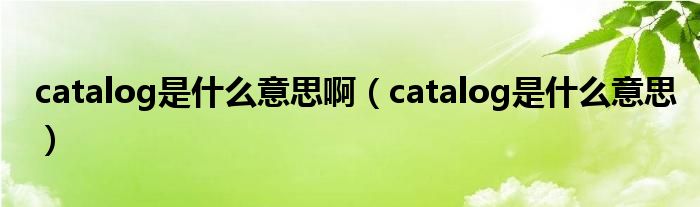  catalog是什么意思啊（catalog是什么意思）