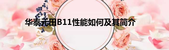 华泰元田B11性能如何及其简介