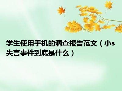 学生使用手机的调查报告范文（小s失言事件到底是什么）