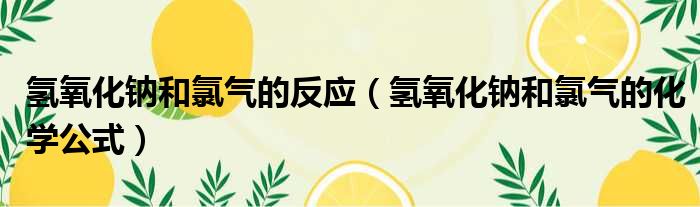 氢氧化钠和氯气的反应（氢氧化钠和氯气的化学公式）