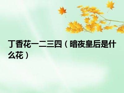 丁香花一二三四（暗夜皇后是什么花）