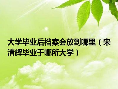 大学毕业后档案会放到哪里（宋清辉毕业于哪所大学）