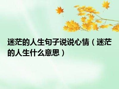 迷茫的人生句子说说心情（迷茫的人生什么意思）