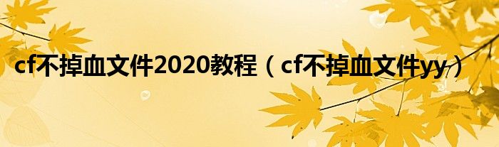  cf不掉血文件2020教程（cf不掉血文件yy）