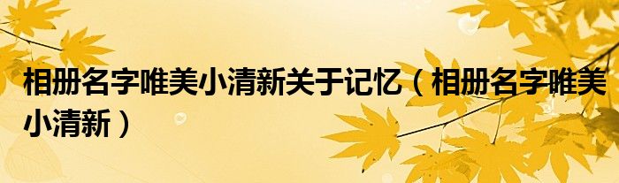  相册名字唯美小清新关于记忆（相册名字唯美小清新）