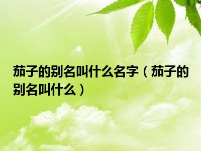 茄子的别名叫什么名字（茄子的别名叫什么）