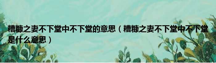 糟糠之妻不下堂中不下堂的意思（糟糠之妻不下堂中不下堂是什么意思）