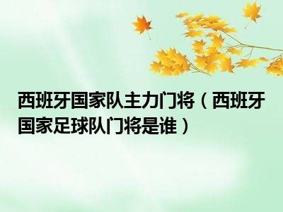 西班牙国家队主力门将（西班牙国家足球队门将是谁）