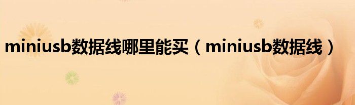  miniusb数据线哪里能买（miniusb数据线）