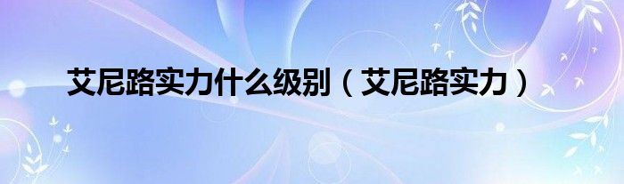  艾尼路实力什么级别（艾尼路实力）