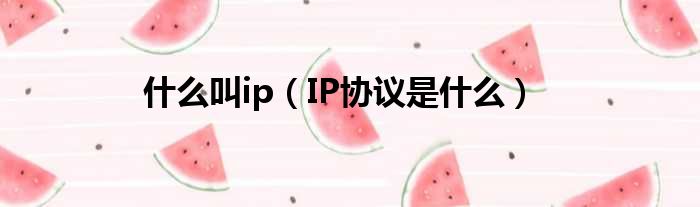 什么叫ip（IP协议是什么）