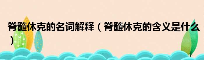 脊髓休克的名词解释（脊髓休克的含义是什么）