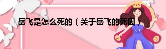 岳飞是怎么死的（关于岳飞的死因）