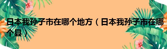 日本我孙子市在哪个地方（日本我孙子市在哪个县）