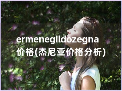 ermenegildozegna价格(杰尼亚价格分析)