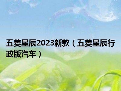 五菱星辰2023新款（五菱星辰行政版汽车）