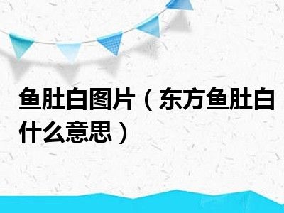 鱼肚白图片（东方鱼肚白什么意思）