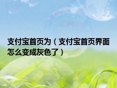 支付宝首页为（支付宝首页界面怎么变成灰色了）