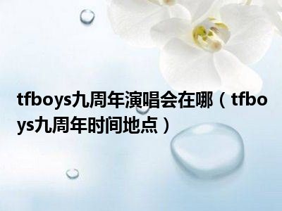 tfboys九周年演唱会在哪（tfboys九周年时间地点）