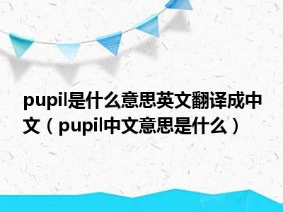 pupil是什么意思英文翻译成中文（pupil中文意思是什么）