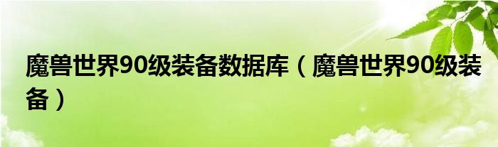  魔兽世界90级装备数据库（魔兽世界90级装备）